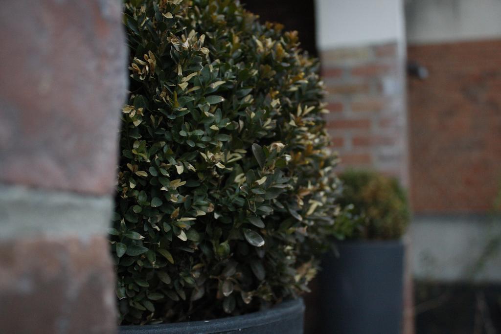 Apartment Easyway To Sleep Bruselas Exterior foto